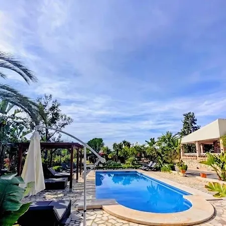 Villa, Big Pool With 3000m2 Garden And Bbq San Vicente Raspeig