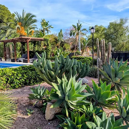 Villa Villa, Big Pool With 3000m2 Garden And Bbq *